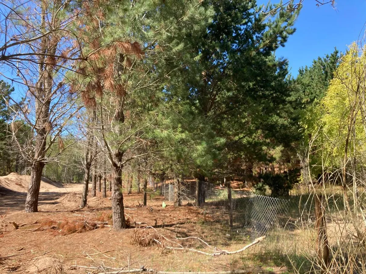Terreno en San Bernardo Del Tuyu, San Bernardo Del Tuyu