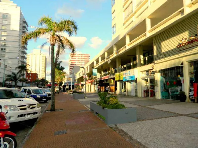 Local en Punta del Este, Punta del Este